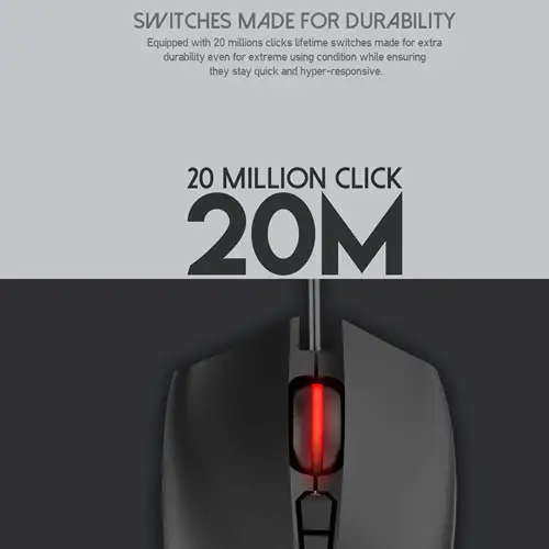 20240723103607_1163568049.jpg